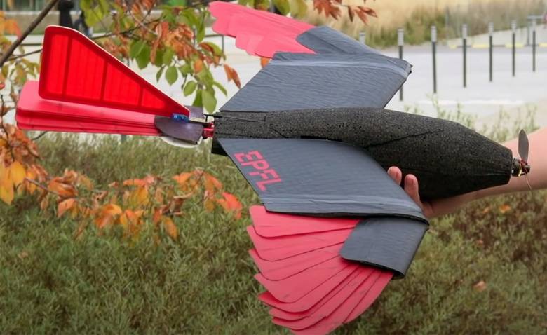 Drone yang Terinspirasi Burung Raptor dengan Morphing Sayap dan Ekor